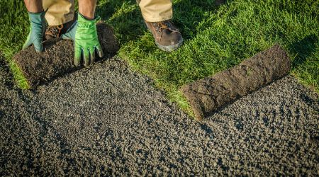 New Lawn and Sod Installation